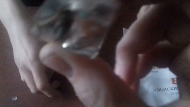 Разрушение мифов!"Настоящие насекомые".