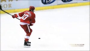 ► #40 Henrik Zetterberg ● Detroit Red Wings Highlights ᴴᴰ