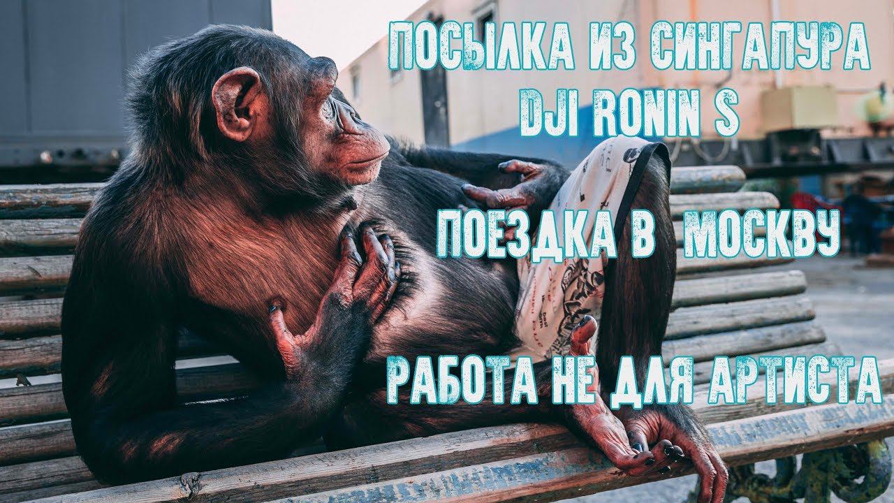ВЛОГ Дана Запашного №5 Работа не для артиста, Поездка в Москву, DJI Ronin S