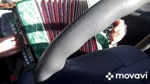 Гармонь Чайка.