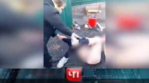 «ЧП»: 24 ноября 2022 года | «Чрезвычайное происшествие» на НТВ