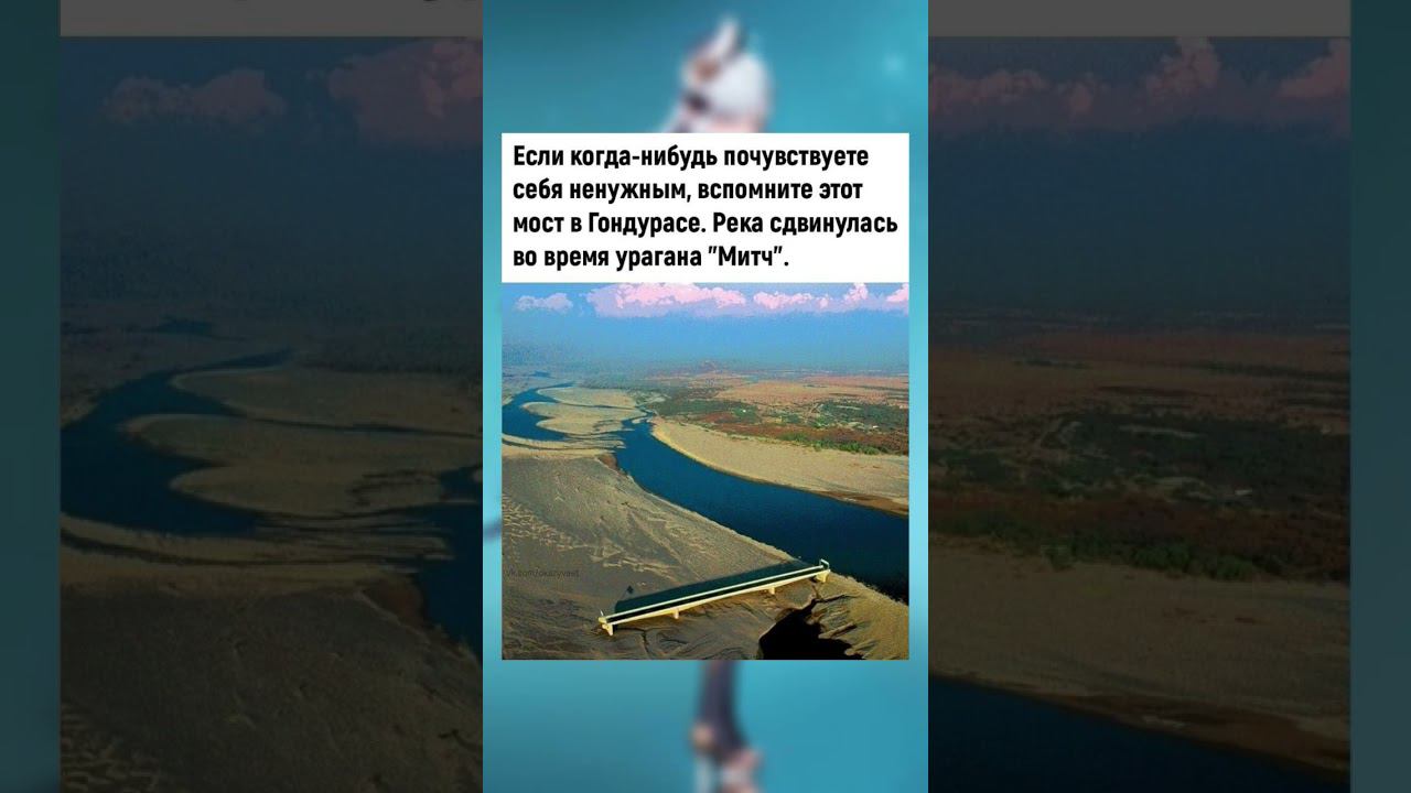 #поззи #актив #позитив #приколы #доброеутро #юмор