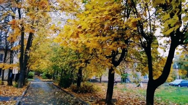4 НОЯБРЯ история праздника День народного единства