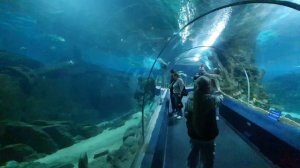 ПОЕЗДКА В ЛОО/ МАЙ 2024