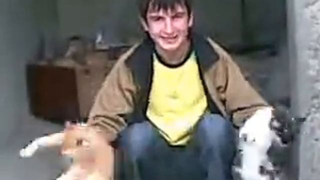 Со мной мои коты смотреть онлайн