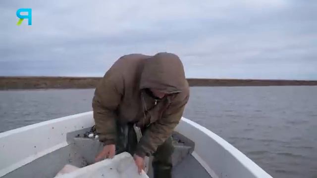 Жирная Река