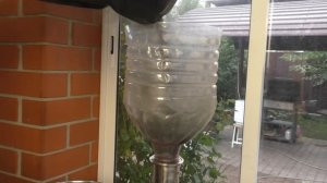 ОПАЛЕСЦЕНЦИЯ. Как очистить дистиллят.