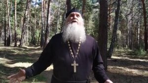 Смени пищу, болеть не будешь  Рассказы сельского батюшки