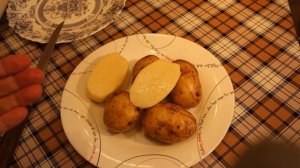 ОТЛИЧНЫЙ СОРТ КАРТОШКИ. РЕКОМЕНДУЮ