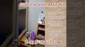 Работа вахтой на шоколадной фабрике. Московская область. Отдел кадров: +79197667586