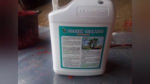 ТРАВЯТ ЛИ НАС!? ДА!? ИЛИ НЕТ!?