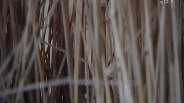 Украшения из белорусской соломки смотреть онлайн