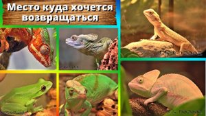 Место, куда хочется возвращаться. Удивили!