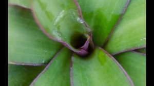 Sigma 17-50mm f 2.8 on a Nikon D5100  Sample Photos