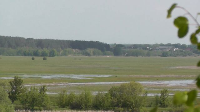 Сумасшедший Зум видеокамеры Panasonic HC-V700 смотреть онлайн