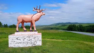 2020 По Саянскому кольцу серия 1 Из Омска в Хакасию