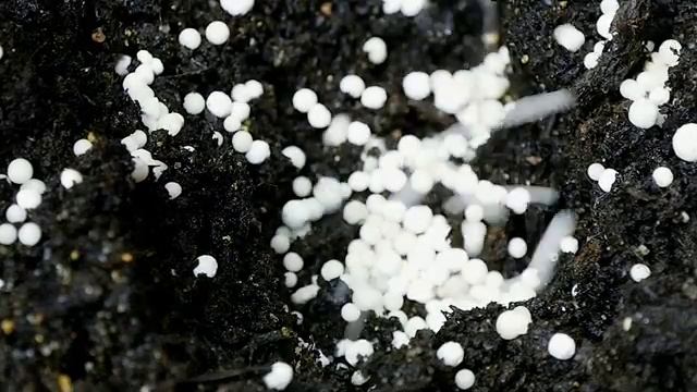 Битва теплиц. Выпуск 1. Теплица Кремлевская. Новые Формы - производитель теплиц. смотреть онлайн