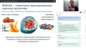 Питание при СМА. Специализированное питание