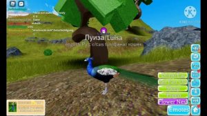 Показываю что умеет делать павлин в  farm world roblox!!!