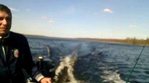 меркури 5 4 такта