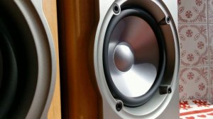 Sony SS NX1 Loudspeaker