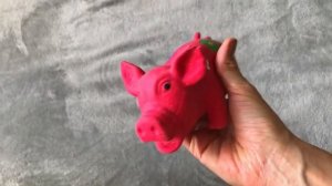 Что нужно купить для щенка чихуахуа-минимальный набор.