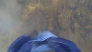 Подводный поиск на каховском водохранилище с Garrett AT Pro International