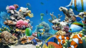 Sim Aquarium scene 2 (4K)
