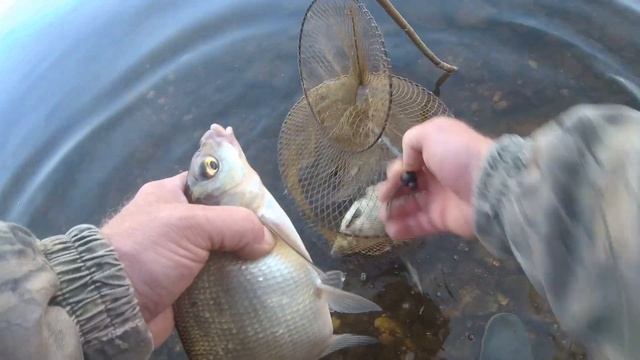 Ловля ЛЕЩА на ИСКУССТВЕННЫЕ ПРИМАНКИ.РЫБАЛКА на ВОЛГЕ на ДОНКИ. смотреть онлайн