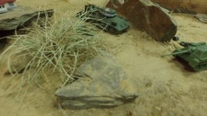 Большие и маленькие танки на радиоуправлении