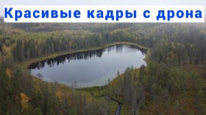 Таёжные озёра, красивые кадры с коптера(дрона) DJI Mini 2.