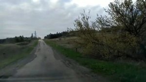степь Донбасса,Степано-Крынка,грибы