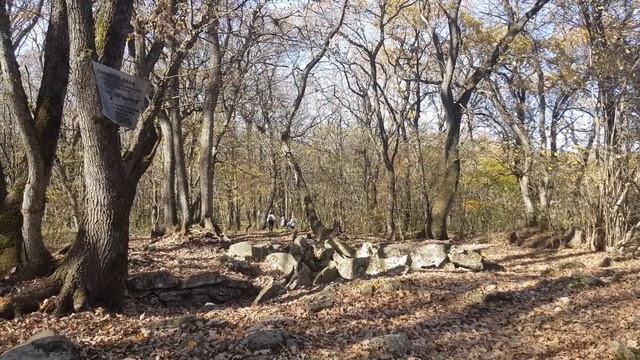 Татарское городище