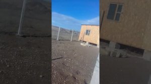Курятник из осб плит