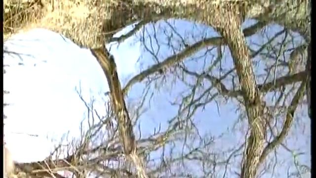 (ЯНКА КУПАЛА) "Дакументальны фiльм"