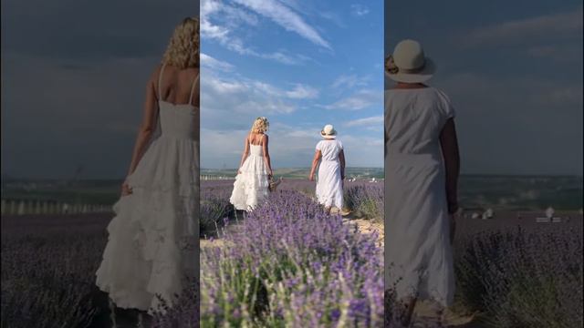 Дочки-матери. Лаванда, французская музыка, Крым. #лаванда #крым #лето2022 #эстетика смотреть онлайн