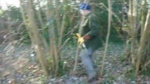 Silky forestry saws Katanaboy 500mm versus Big Boy