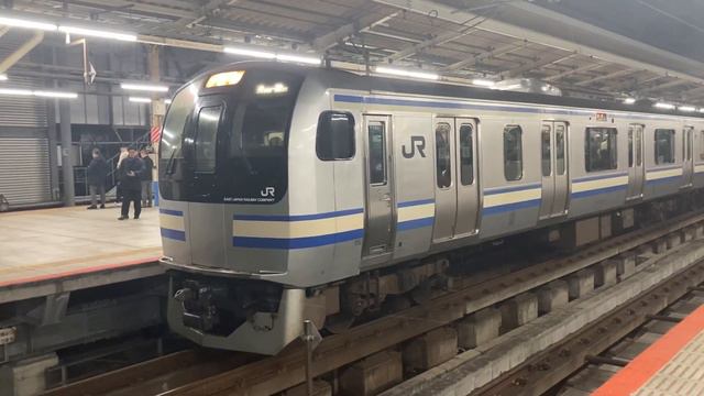 22.01.2024 года. Прибытие и отправление электрички маршута «Чиба-Камакура» на станции Йокогама. смотреть онлайн