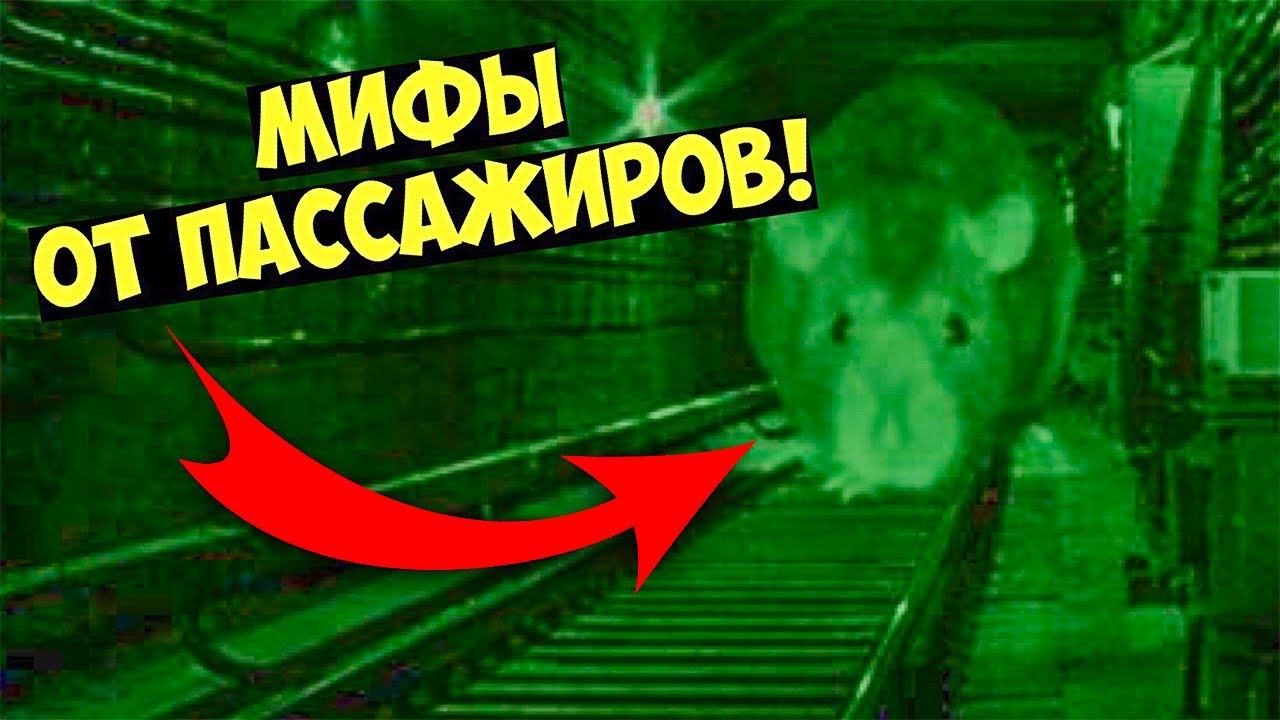 Мифы о метро [Крысы в тоннеле]