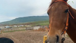 HORSETRIP ПУТЕШЕСТВУЕТ | Дагестан: лошади, Сулакский каньон, вкусная еда и гостеприимные люди.