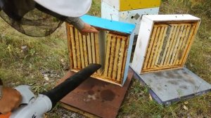 Воздуходувка на пасеке.