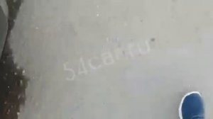 Eva 3D коврики Toyota RAV4 5 поколение в салон и багажник