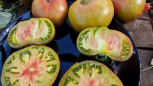 Сорт томата "Алматинский Триколор", сочный и очень вкусный. "Almatinskiy Trikoloor" wery tasty 🍅