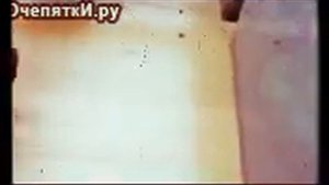 паук кусает человека