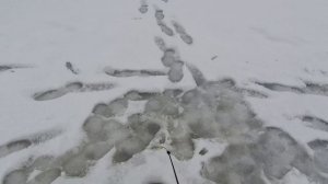 И все же рыбалка состоялась, как правильно пользоваться электробуром