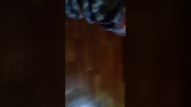 Вызов духов Баку пожиратель снов когда я это увидел как мой брат снимал я офигел смотреть онлайн