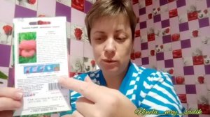 Когда высевать помидоры на рассаду в Восточной Сибири. Сроки посадки помидор.