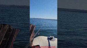 Рыбалка на скумбрия в Приморском крае,Владивосток,RIB Brig 450,Suzuki 50.