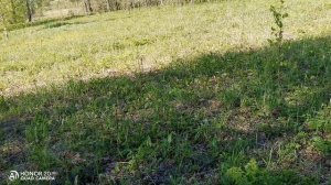 Коп 2024. Разведка, фундамент.