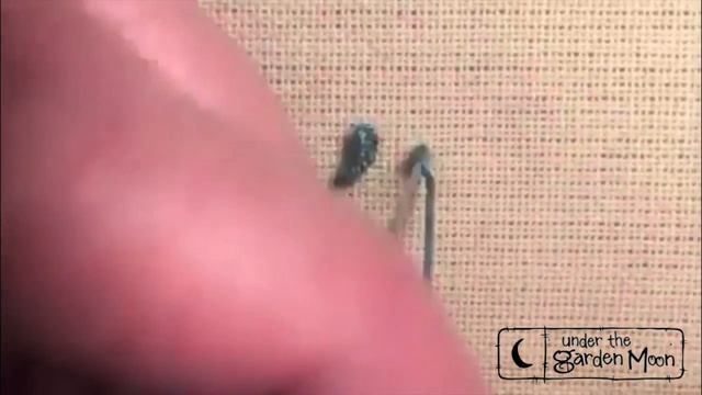 Stitching Society Drizzle Stitch Tutorial by Amy McClellan